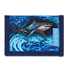 Blue Shark