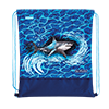 Blue Shark